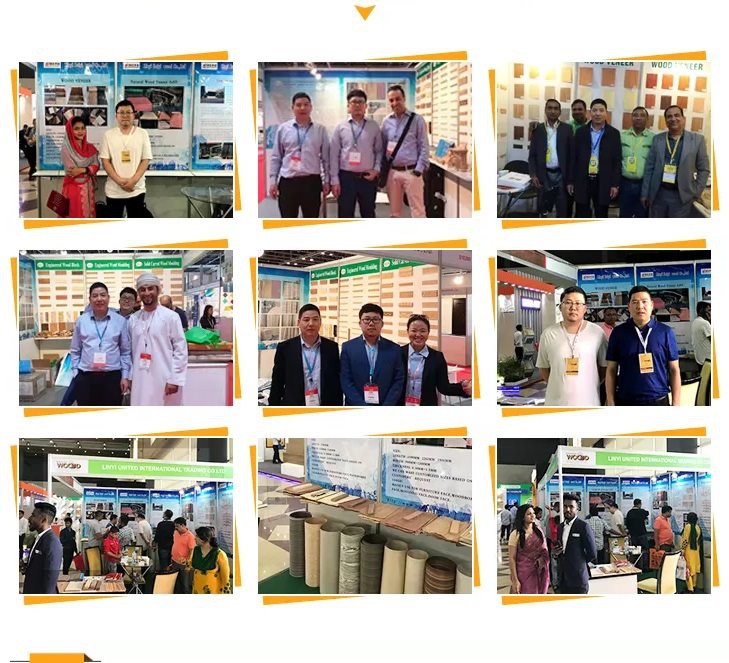 exhibiton